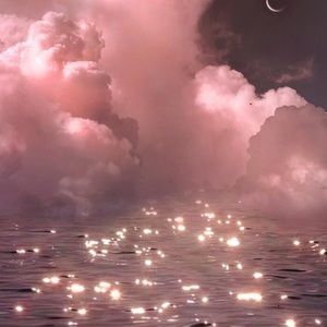 Meet your Posher, Genevieve